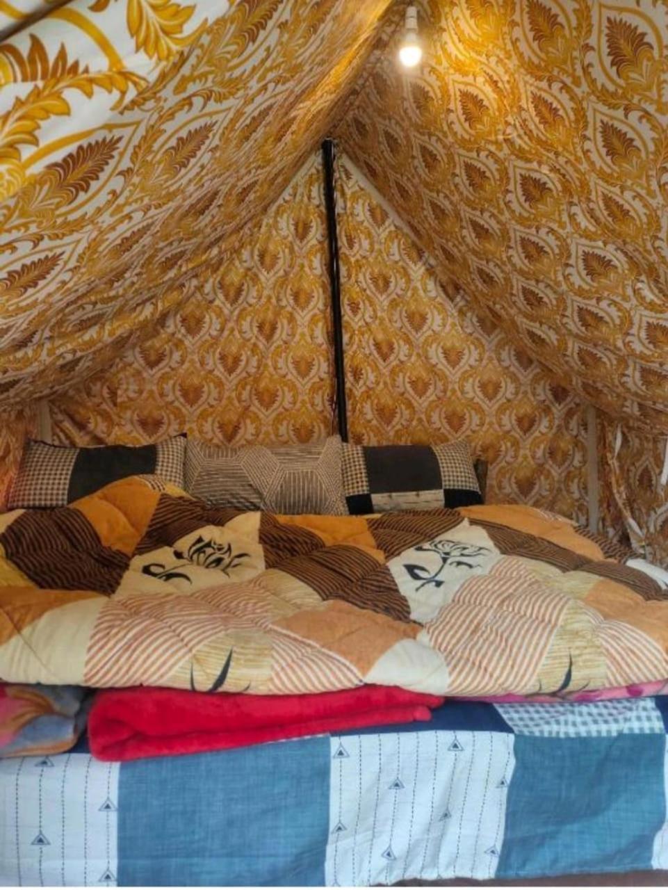Mountrush Adventures Hostel Manali (Himachal Pradesh)